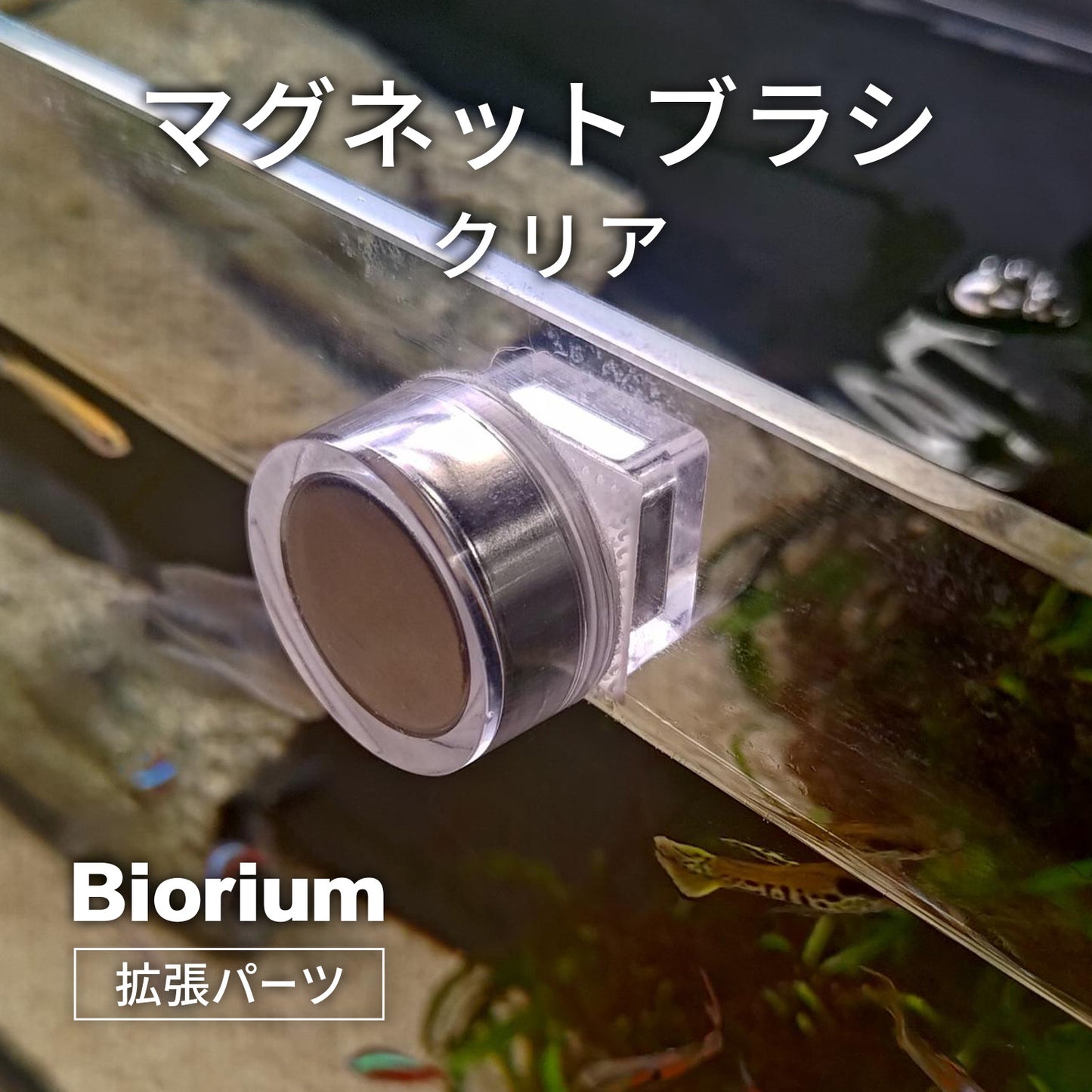 クリアマグネットブラシ(水槽用)