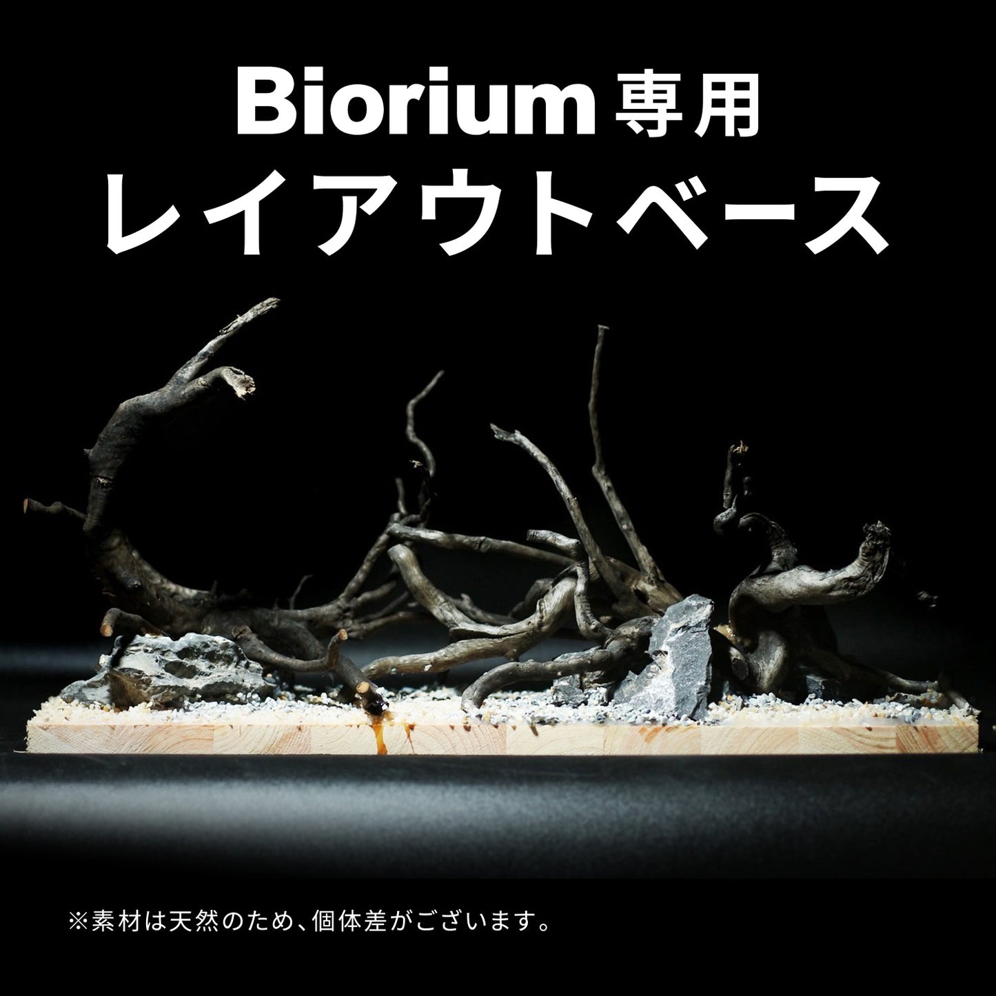 Biorium専用 レイアウトベース