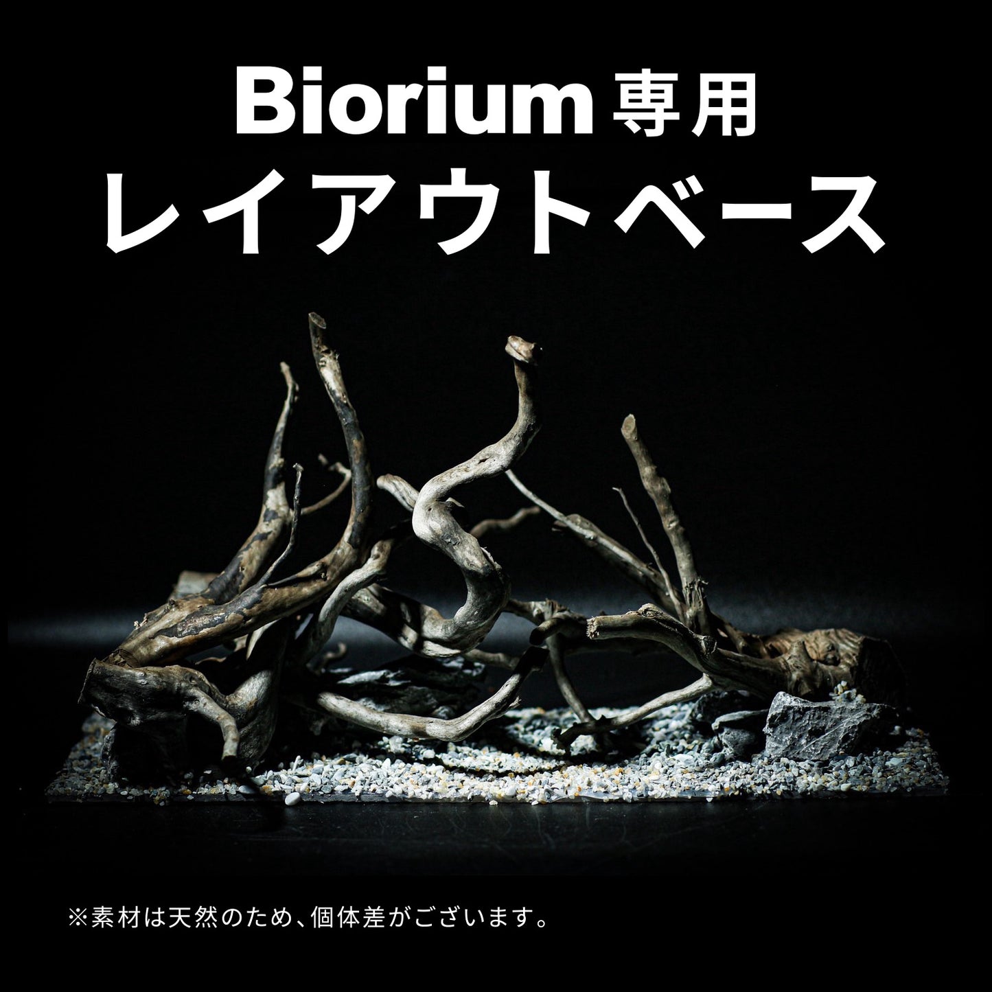 Biorium専用 レイアウトベース