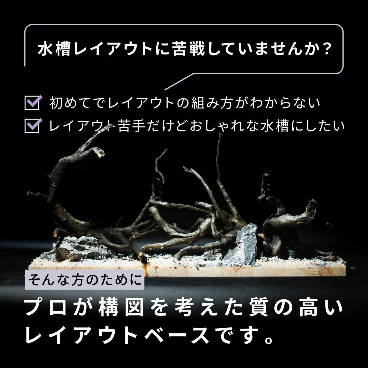 Biorium専用 レイアウトベース