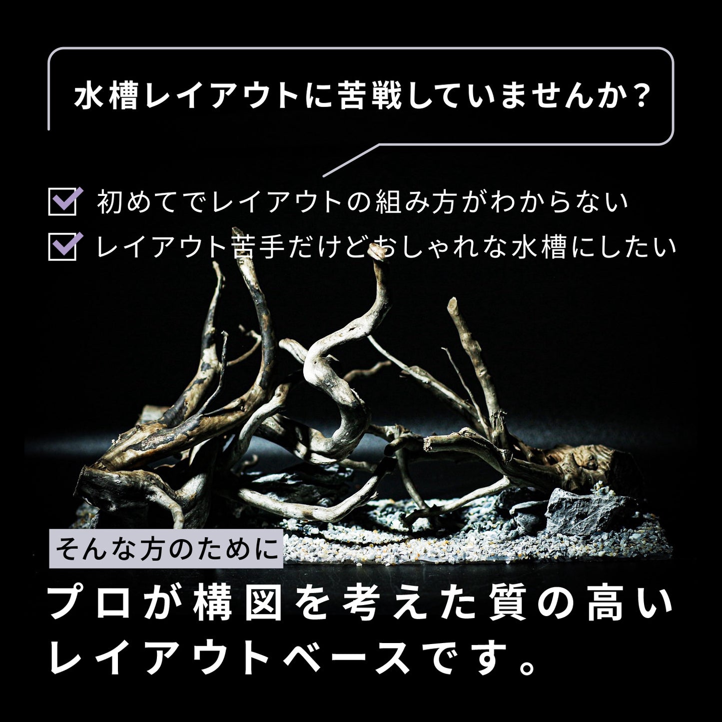 Biorium専用 レイアウトベース