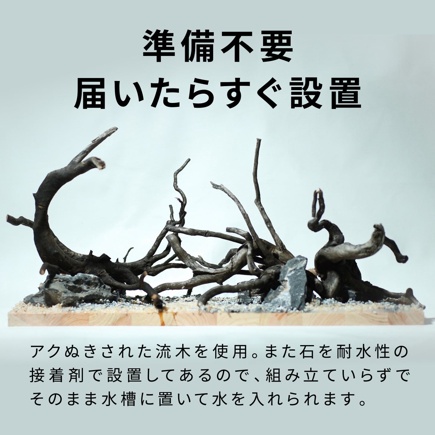 Biorium専用 レイアウトベース