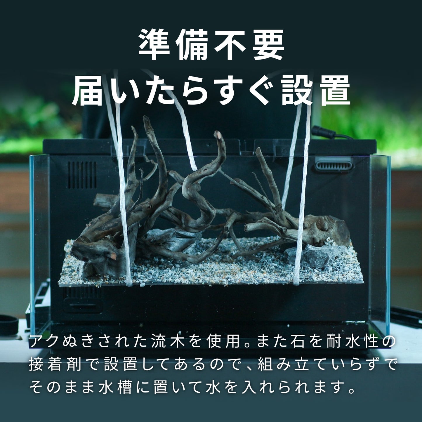 Biorium専用 レイアウトベース