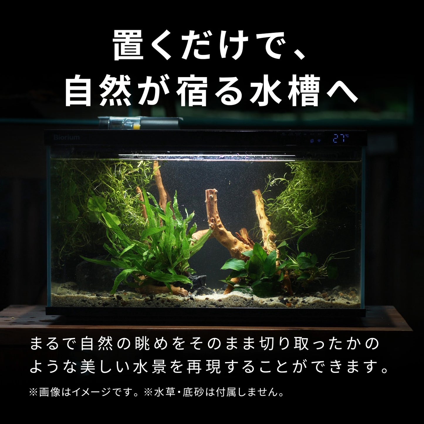 Biorium専用 レイアウトベース