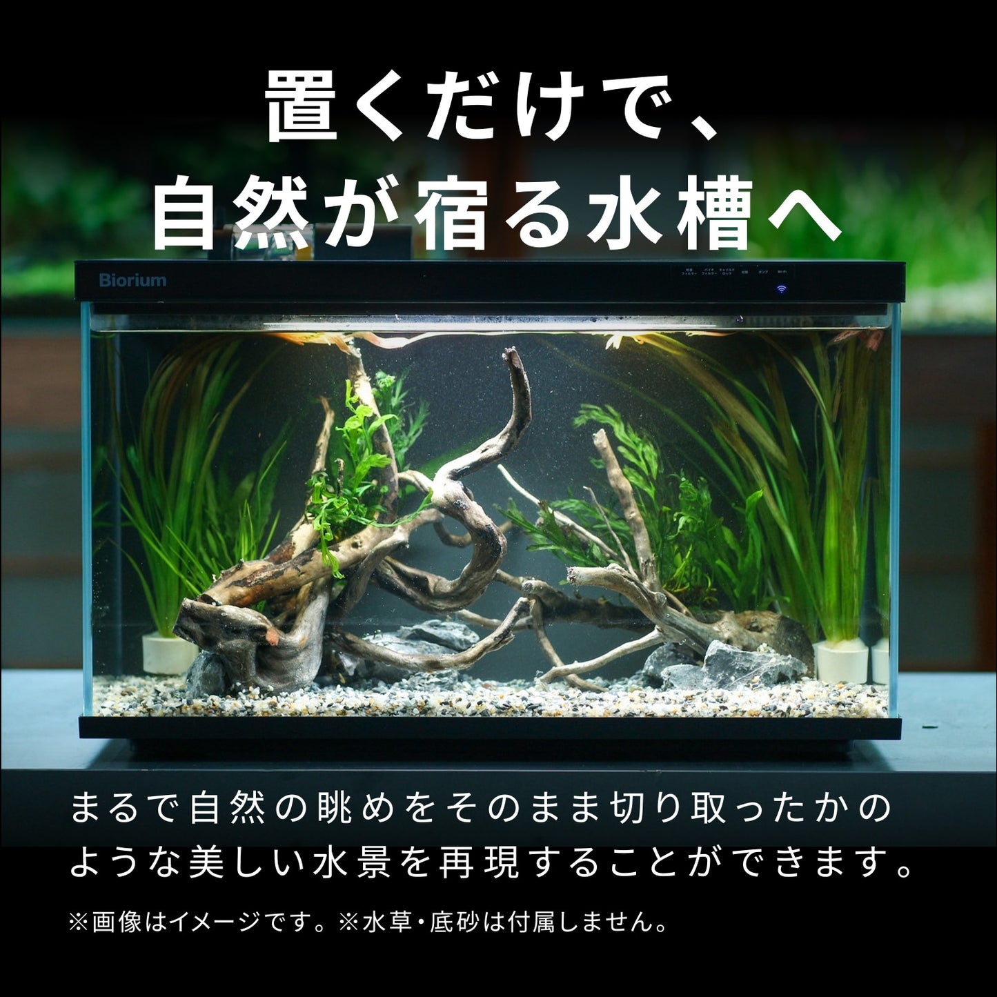 Biorium専用 レイアウトベース