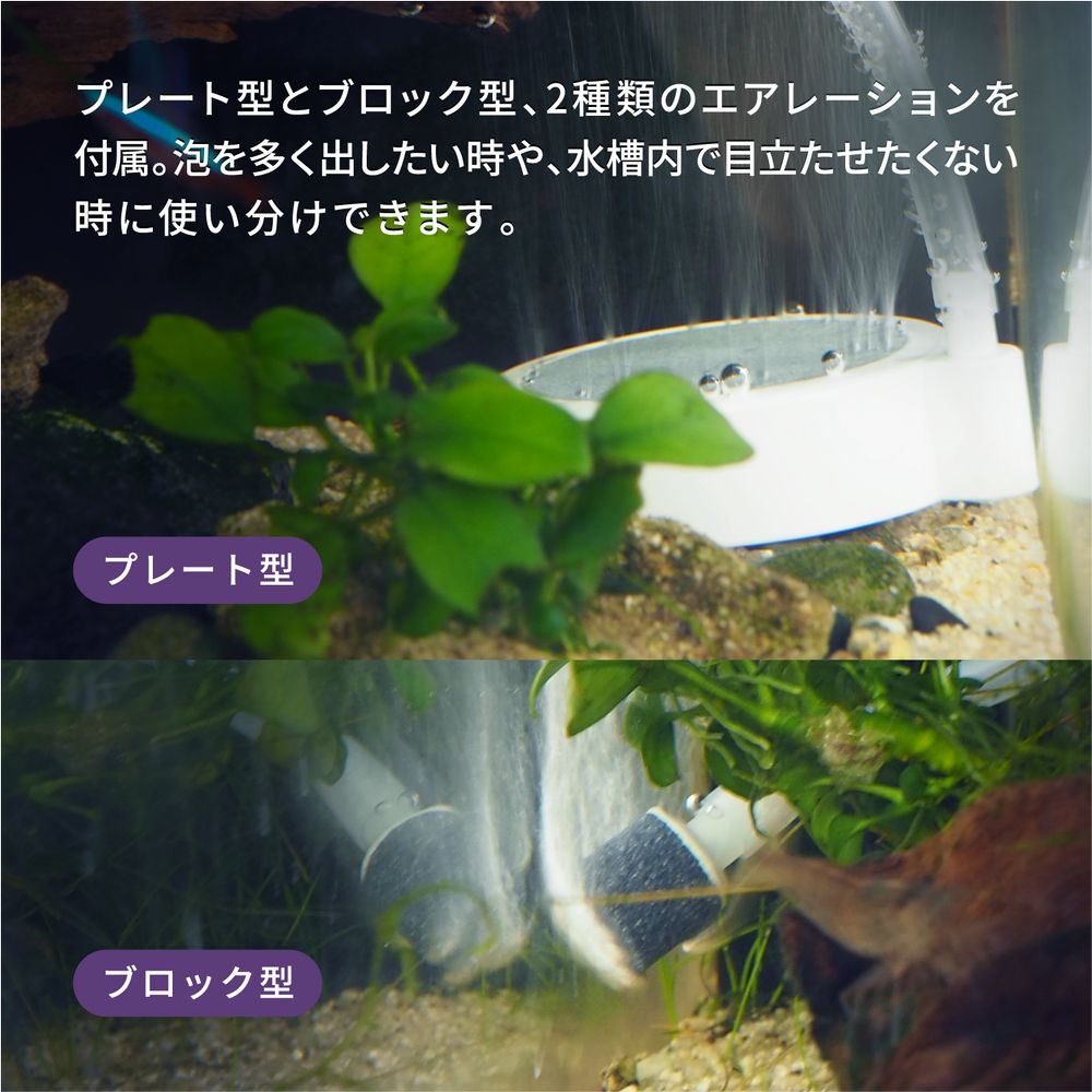 【お届けまでに最大1週間いただきます】エアレーションセット(Biorium専用)
