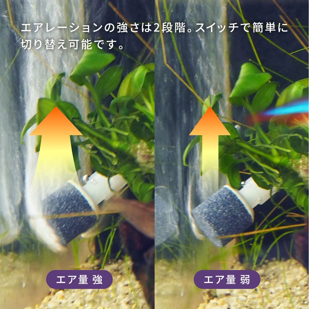 【お届けまでに最大1週間いただきます】エアレーションセット(Biorium専用)