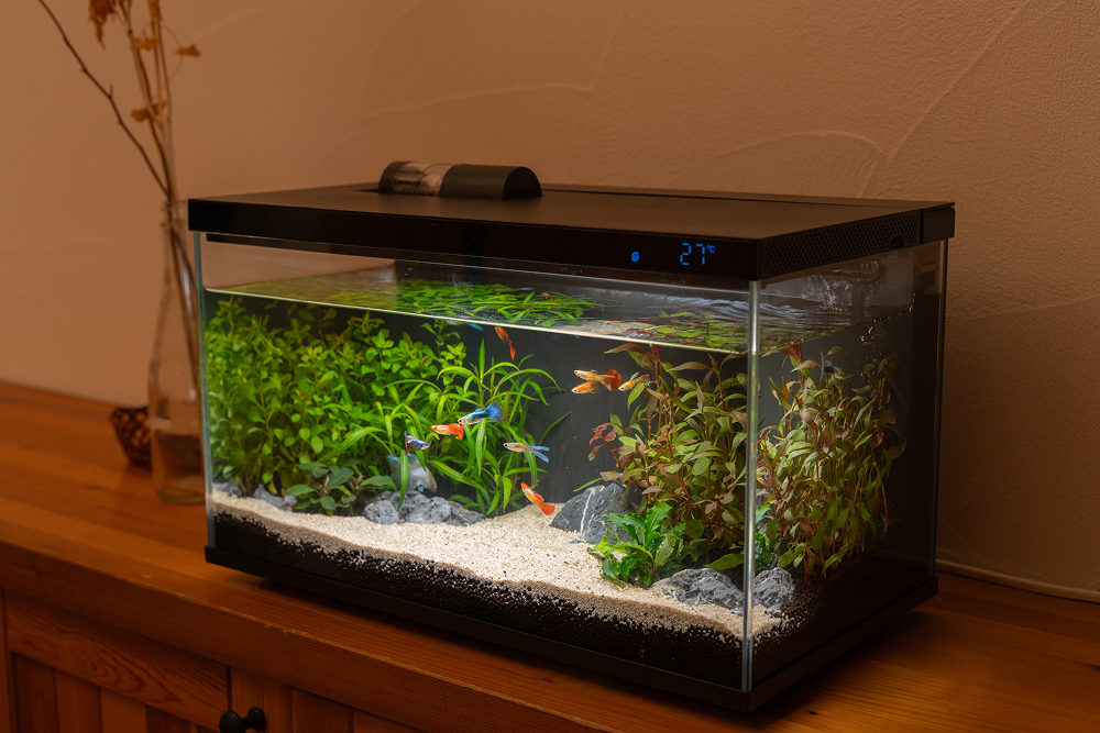 スマート水槽 ‐ Biorium – Biorium公式オンラインショップ スマート水槽 ‐ Biorium – Biorium公式オンラインショップ