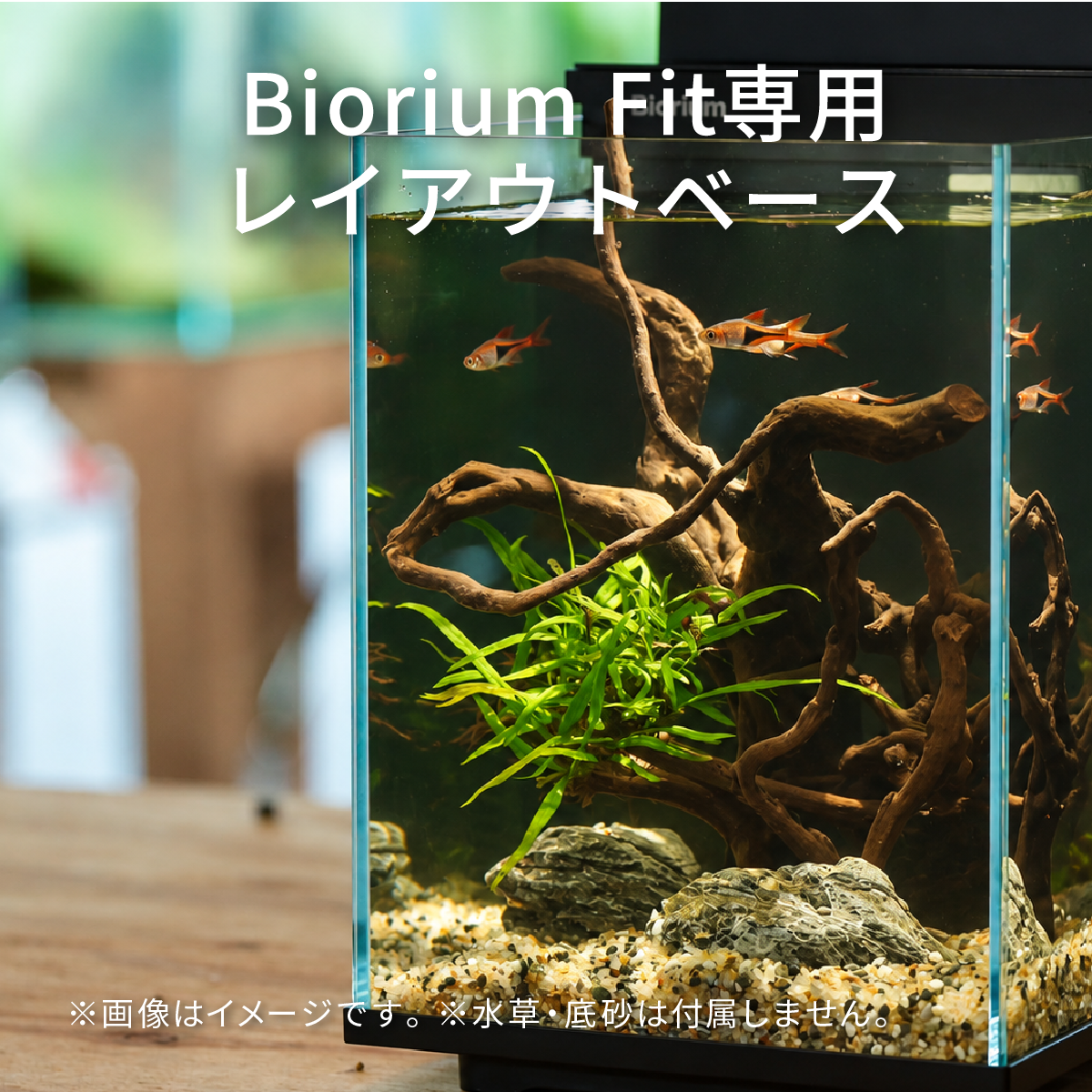 BioriumFit専用 レイアウトベース