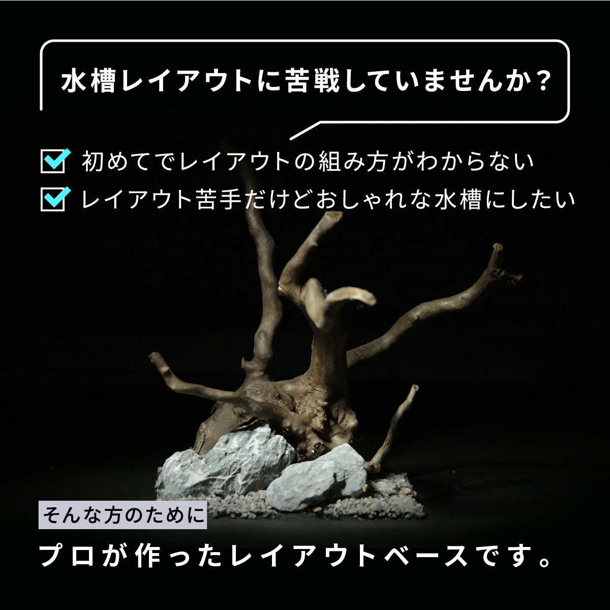 BioriumFit専用 レイアウトベース