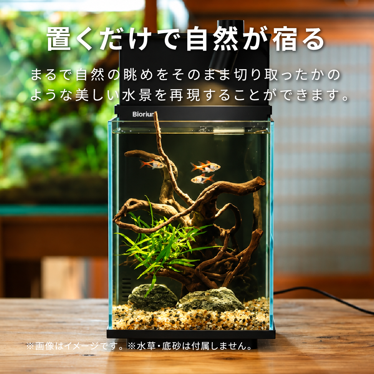 BioriumFit専用 レイアウトベース