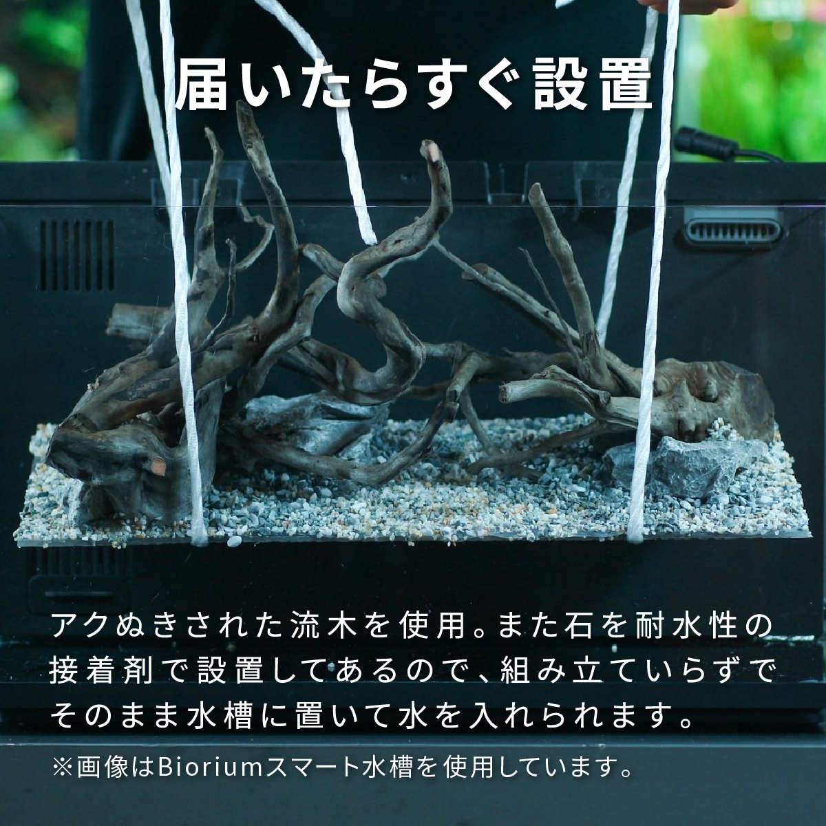 BioriumFit専用 レイアウトベース