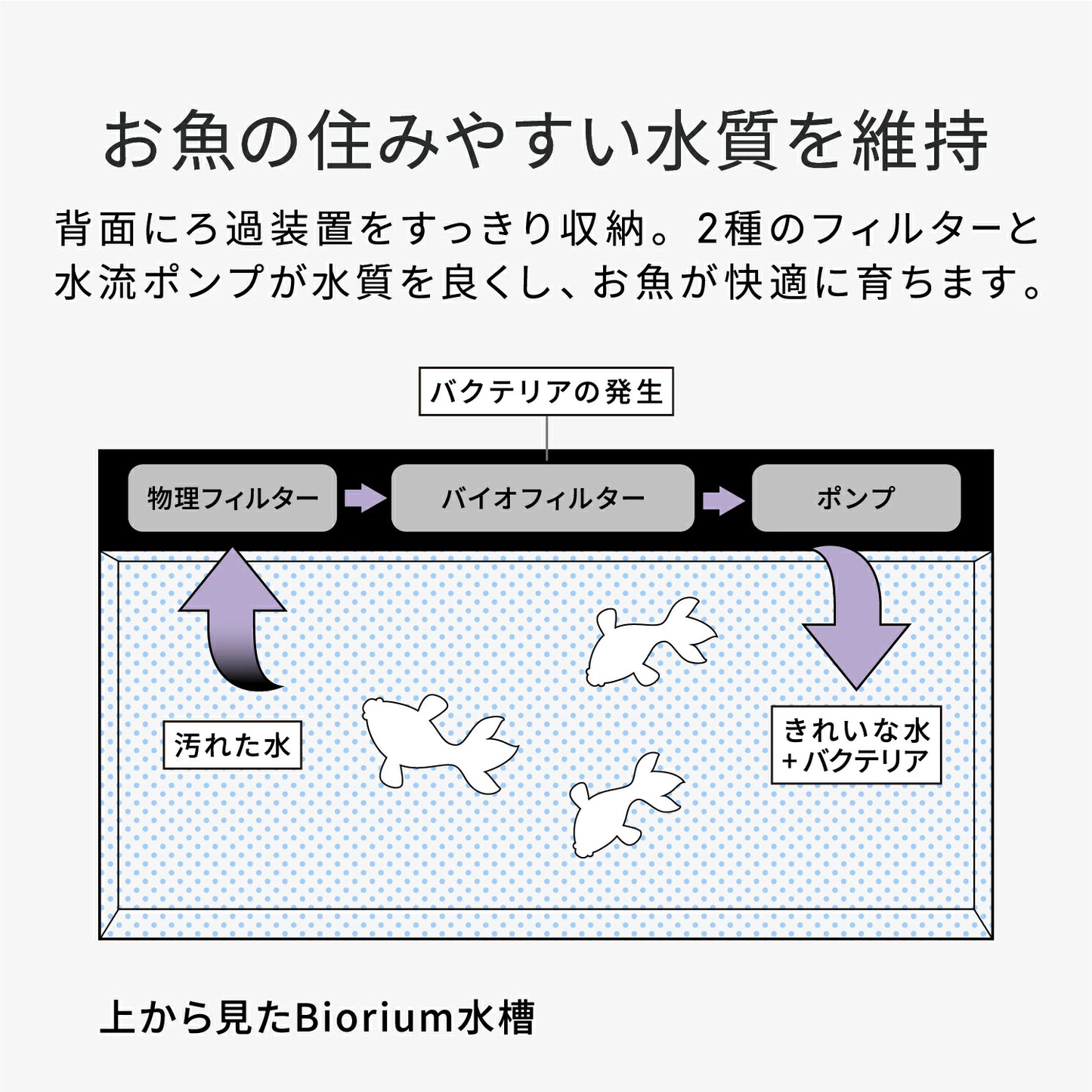 Biorium（ビオリウム）  Smart Aquarium　オールインワン水槽