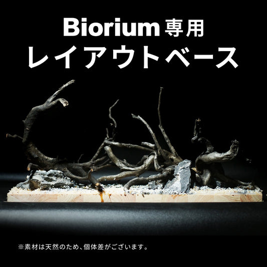 Biorium専用 レイアウトベース