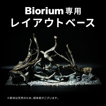 Biorium専用 レイアウトベース