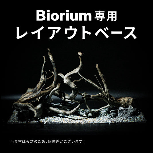 Biorium専用 レイアウトベース