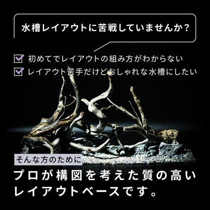 Biorium専用 レイアウトベース