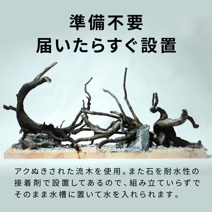 Biorium専用 レイアウトベース