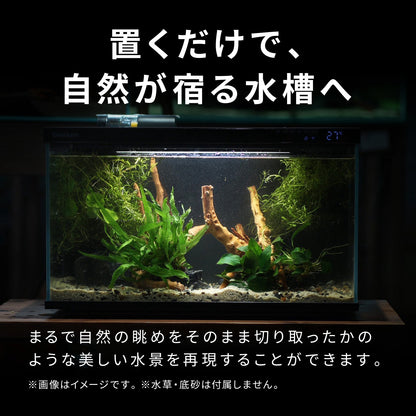 Biorium専用 レイアウトベース