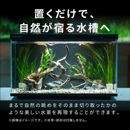 Biorium専用 レイアウトベース