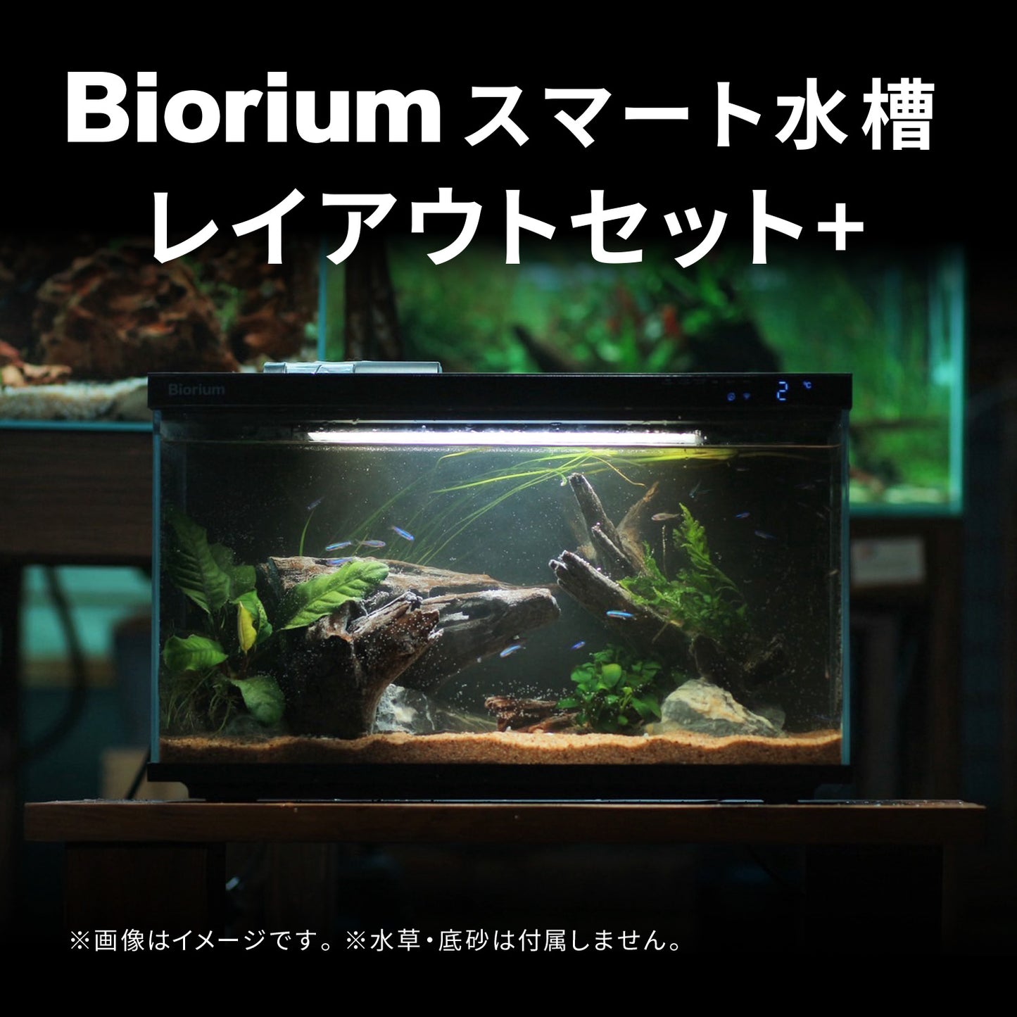 Bioriumスマート水槽　レイアウトセット+