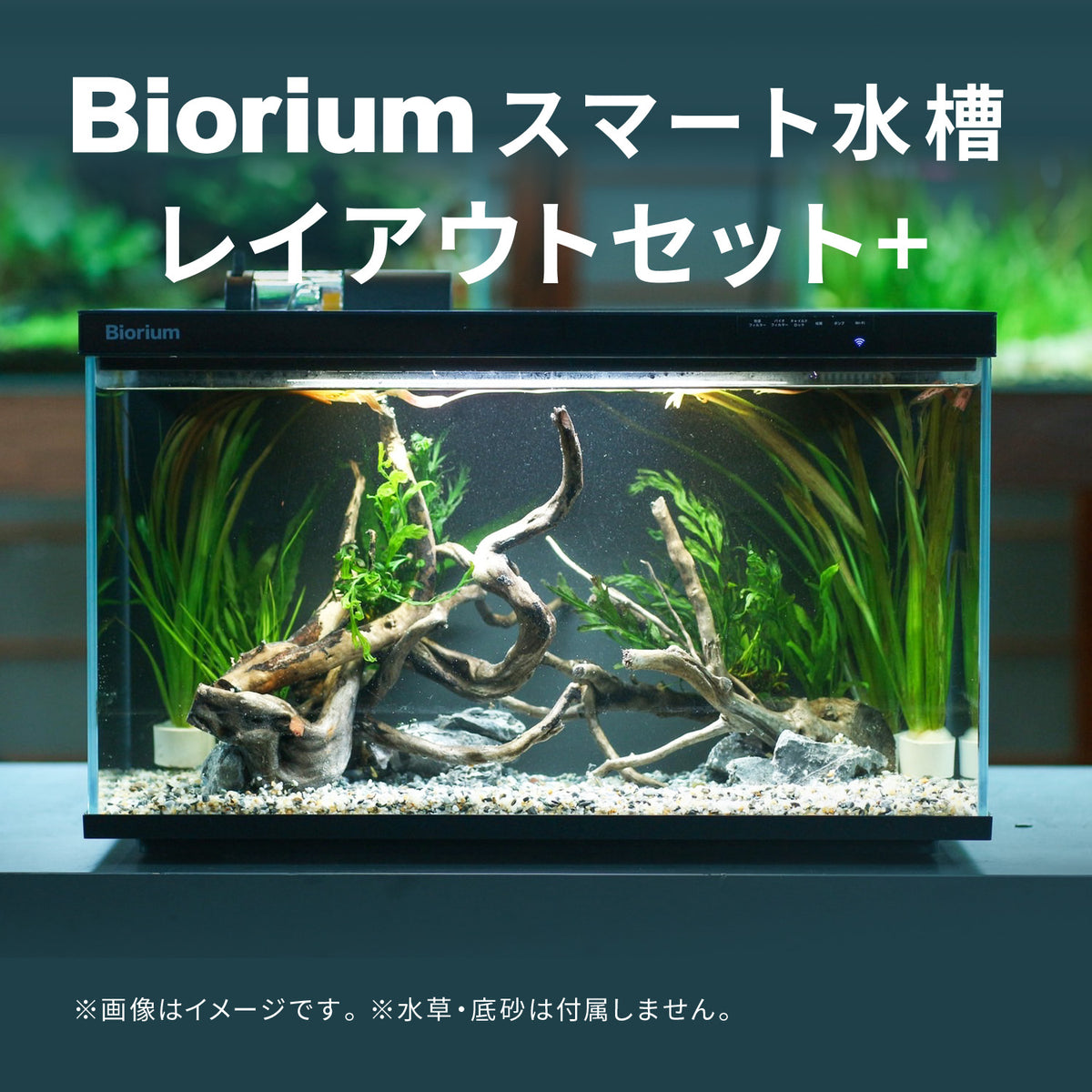 Bioriumスマート水槽 レイアウトセット+ – Biorium公式オンラインショップ