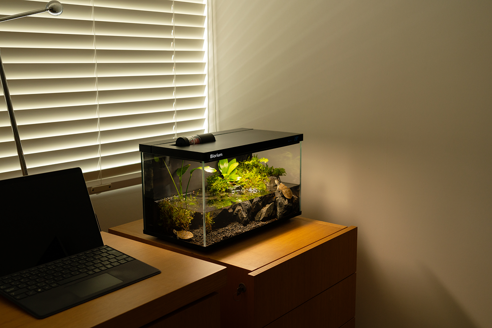 はじめてのアクアリウムにBiorium – Biorium公式オンラインショップ はじめてのアクアリウムにBiorium – Biorium公式オンラインショップ