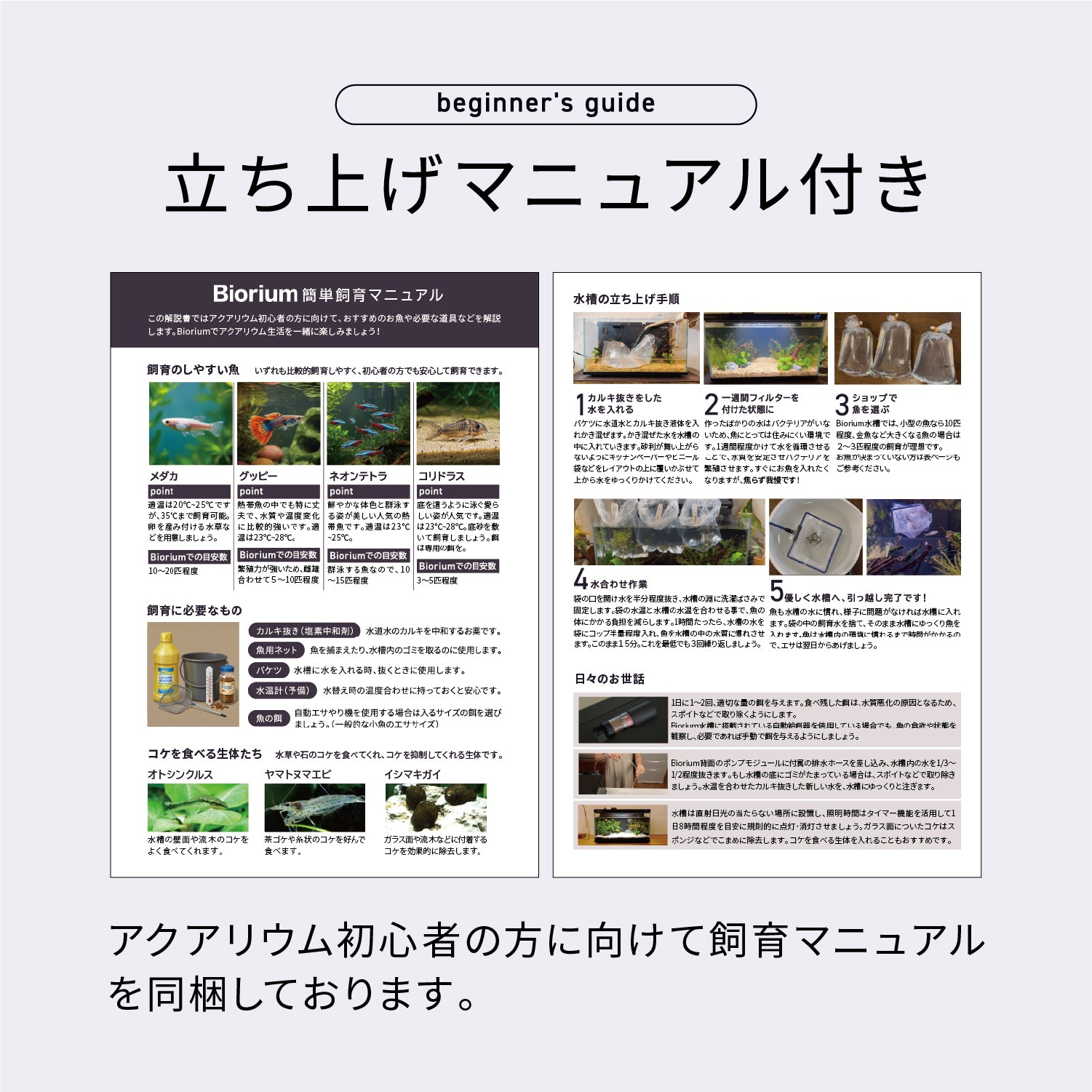 あくありゅむ Aqua Japan Ultra Clear LI Rimless Tanks AJ5N1UCS | Neptune