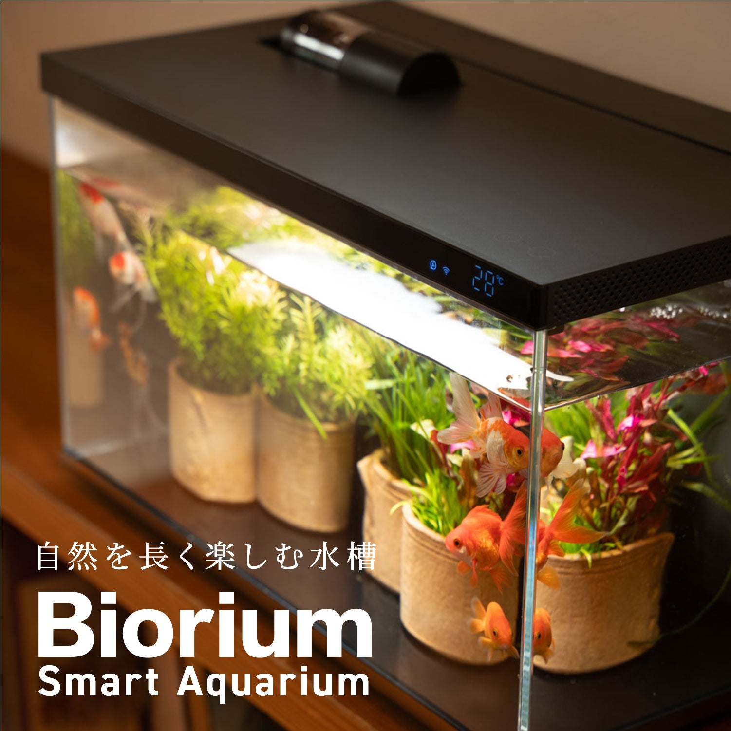 Biorium Smart Aquarium-スマート水槽 – Biorium公式オンラインショップ