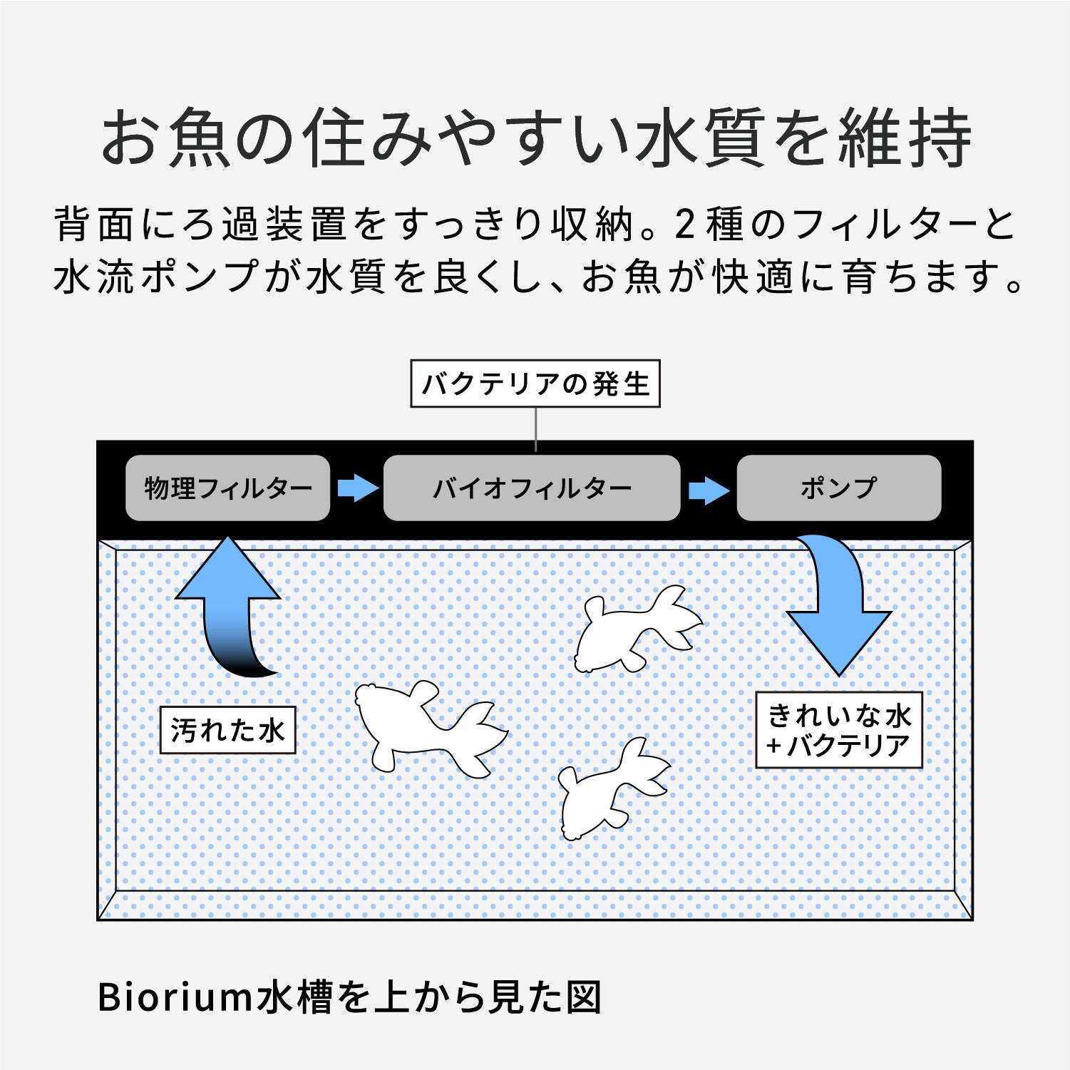 Biorium Smart Aquarium-スマート水槽 – Biorium公式オンラインショップ