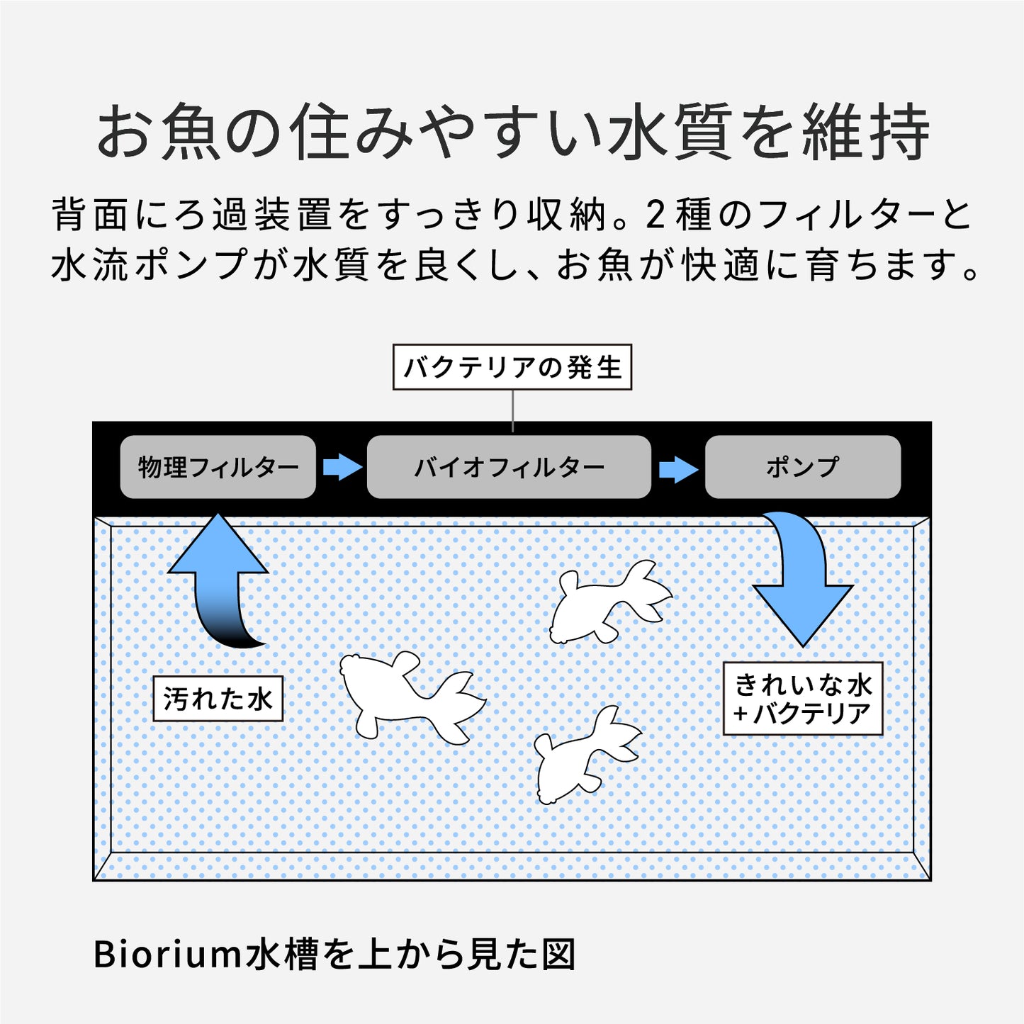 Biorium Smart Aquarium　オールインワン水槽