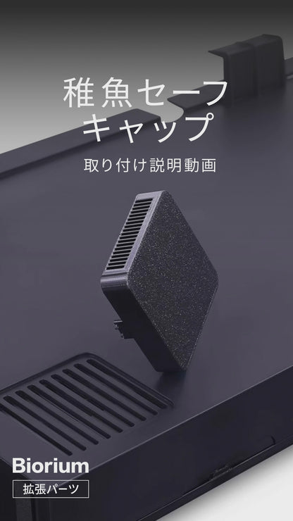 稚魚セーフキャップ