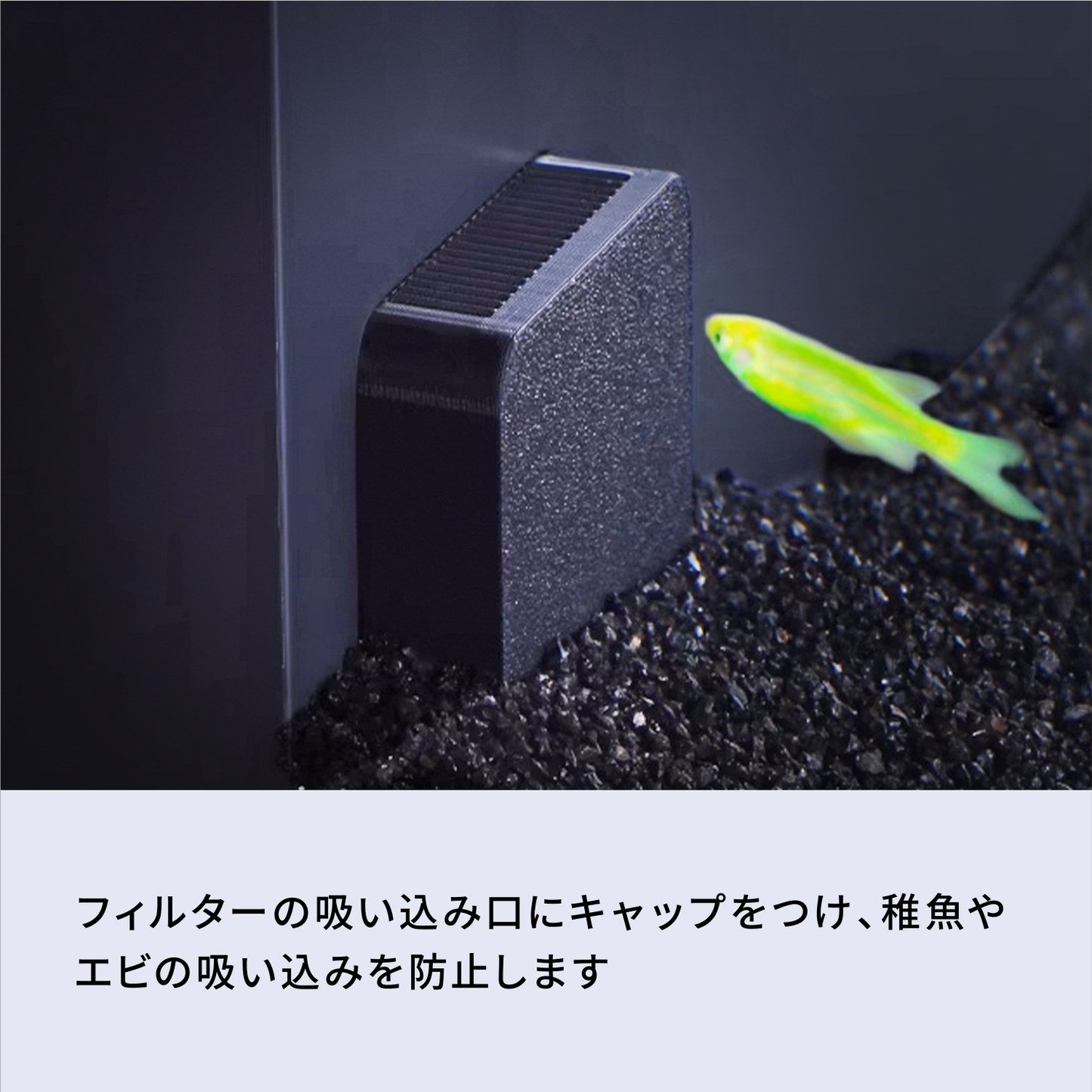稚魚セーフキャップ