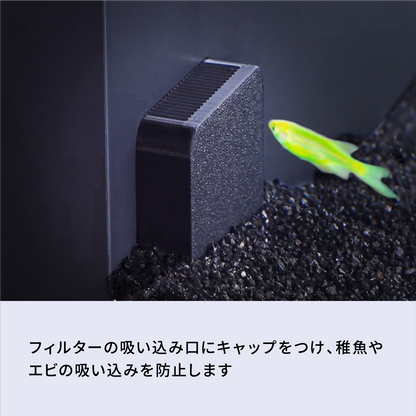 稚魚セーフキャップ