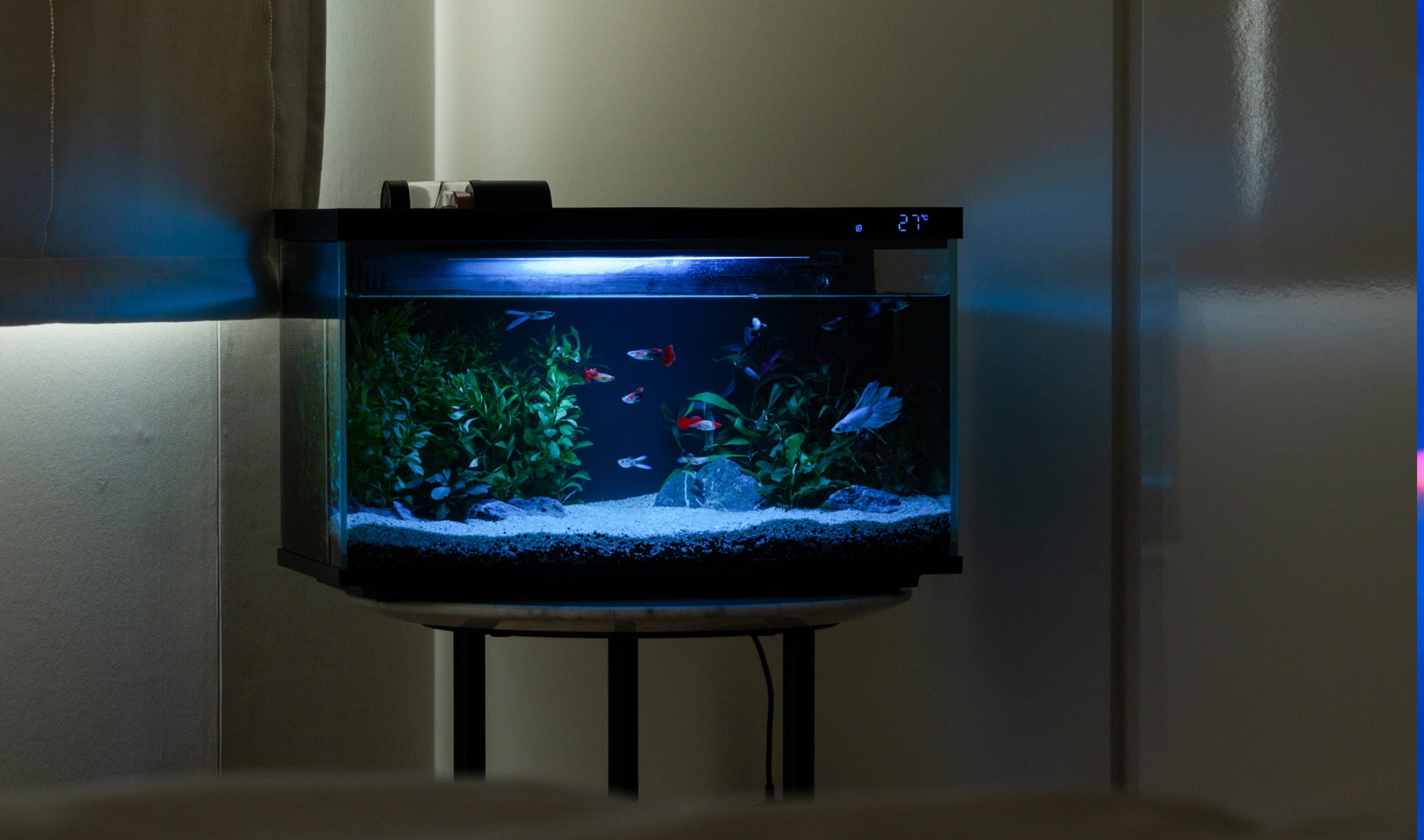 水槽用浄水器 めんどくさかっ アクアリウム フィルター内蔵 水槽 3段多機能浄水器[ZY-